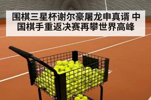 围棋三星杯谢尔豪屠龙申真谞 中国棋手重返决赛再攀世界高峰